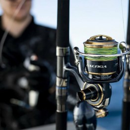 Daiwa (Rods, Reels & Accessories) - Complete Angler NZ