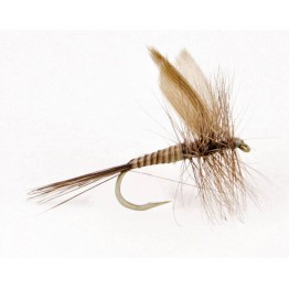 Flies - Complete Angler NZ